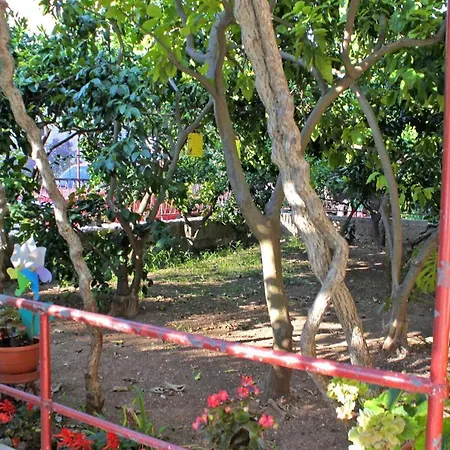 Studio Jelsa 5691a *